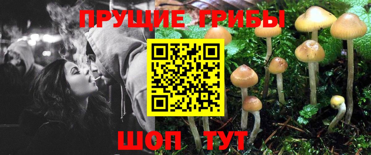 Галлюциногенные грибы ЛСД  Вход с VPN  Дивногорск 